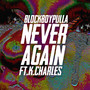 Never Again (Explicit)