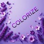 Colorize (Explicit)