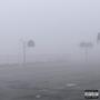 WHITEFACE (Explicit)