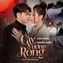 Cây Xương Rồng (EDM)