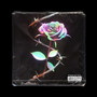 Spottles (Explicit)