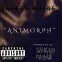 ANIMORPH (Explicit)