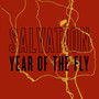 Year of the Fly