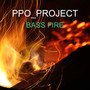 Bass Fire