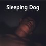 Sleeping Dog