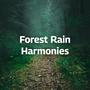 Forest Rain Harmonies