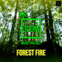 Forest fire