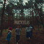 PARTÍCULAS