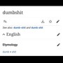 Dumbshyt (Explicit)