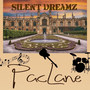 Silent Dreamz (Explicit)