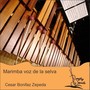 Marimba Voz de la Selva