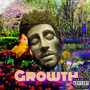 Growth (Explicit)