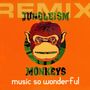 Music so Wonderful (Remix)