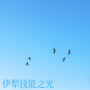 伊犁技能之光