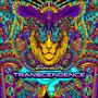 Transcendence