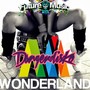 Wonderland (DangerDisko Remix)