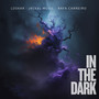 In the Dark