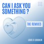 Can I Ask You Something ? (Tony Krisp Remix)