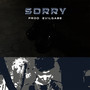 Sorry (Explicit)