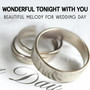 Wonderful Tonight with You: Beautiful Melody for Wedding Day - Jazz Music for Young Couples, Acoustic Party with Jazz Band