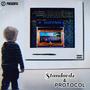 STANDARDS & PROTOCOL (Explicit)