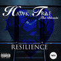 Resilience (Explicit)