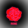 Jekha Rose