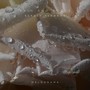 Rain and Roses