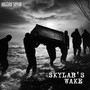 Skylab's Wake