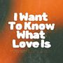 I Want to Know What Love Is