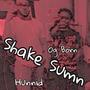 Shake Sumn (Explicit)