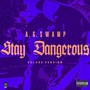 STAY DANGEROUS (Deluxe Version) [Explicit]