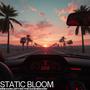 Dreams Left on the Dashboard