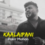 Kaalaippani