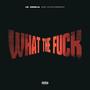 WTF (Volume 1) [Explicit]