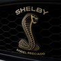 Shelby