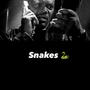 Snakes (Explicit)