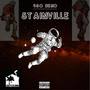 StainVille (Explicit)