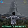 Feeling Of Mahadev