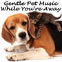 Gentle Pet Music While You're Away