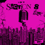 Section 8