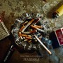 HAIZARA (Explicit)
