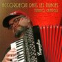 Accordeon dans les nuages