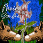 Meia Sombra
