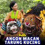 Angon Macan Tarung Kucing