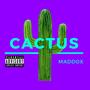 Cactus (Explicit)