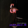 Pink Flamingos (Explicit)