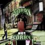 Sorry Not Sorry (Explicit)