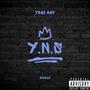 Y.N.S. (Explicit)