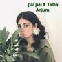 Pal pal x talhah anjum